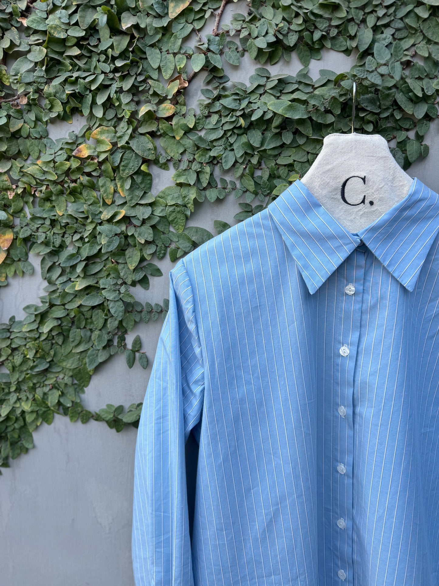 Camisa Aralia Líneas